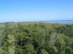 muyil_forest_lake_l.jpg